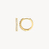Blush Oorringen 14kt Goud 7166YZI
