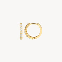 Blush Oorringen 14kt Goud 7166YZI