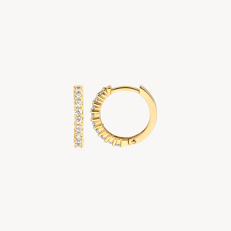 Blush Oorringen 14kt Goud 7166YZI
