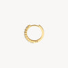 Blush Oorringen 14kt Goud 7166YZI