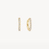 Blush Oorringen 14kt Goud 7166YZI