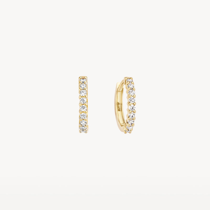 Blush Oorringen 14kt Goud 7166YZI
