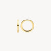 Blush Oorringen 14kt Goud 7202YGO