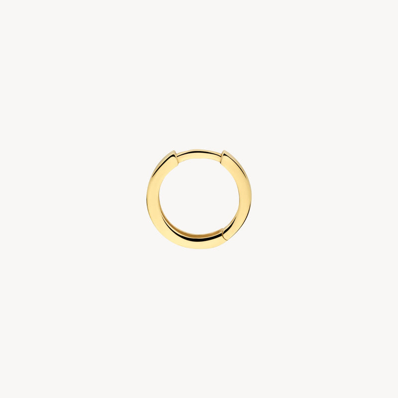Blush Oorringen 14kt Goud 7202YGO