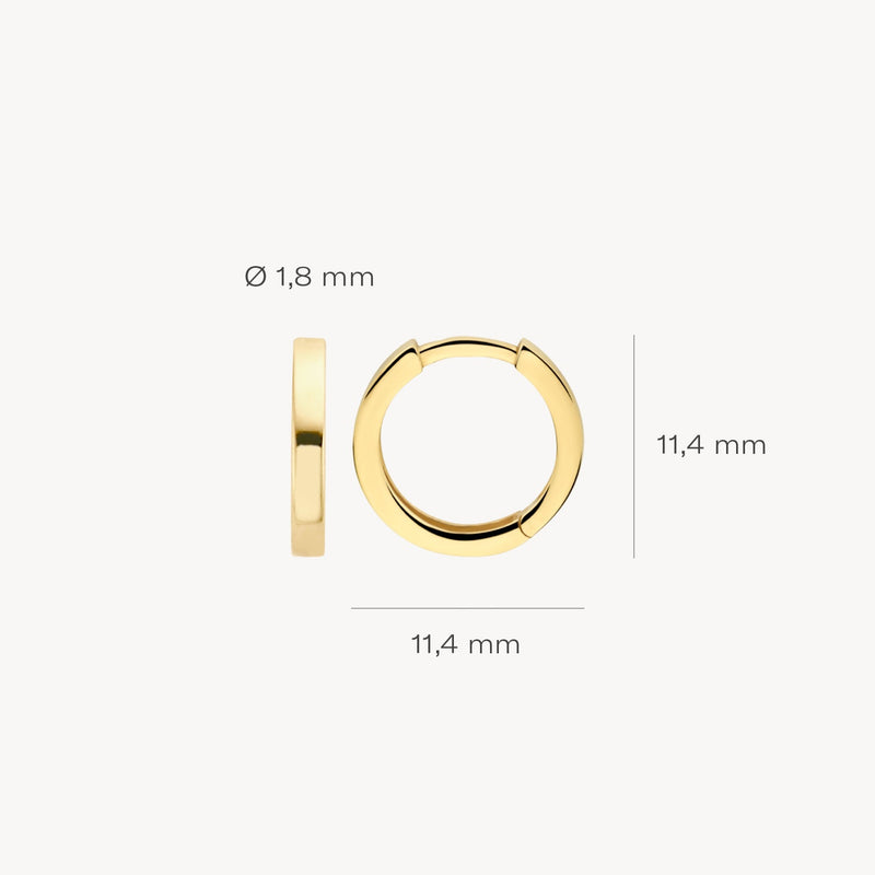 Blush Oorringen 14kt Goud 7202YGO