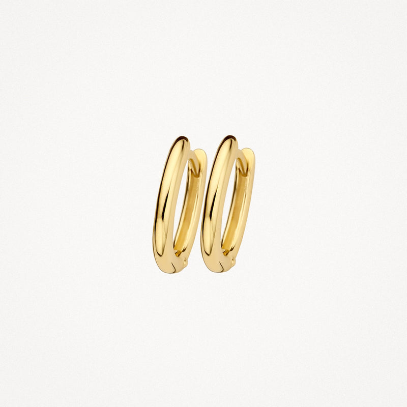 Blush Oorringen 14kt Goud 7218YGO