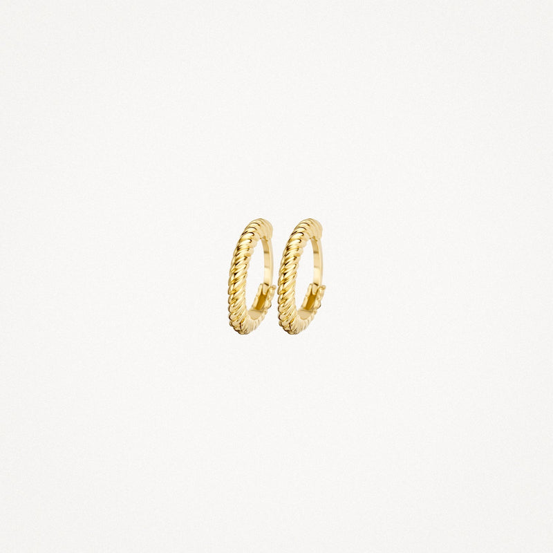 Blush Oorringen 14kt Goud 7231YGO