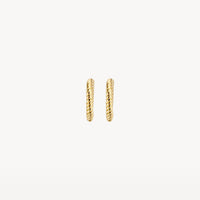 Blush Oorringen 14kt Goud 7231YGO