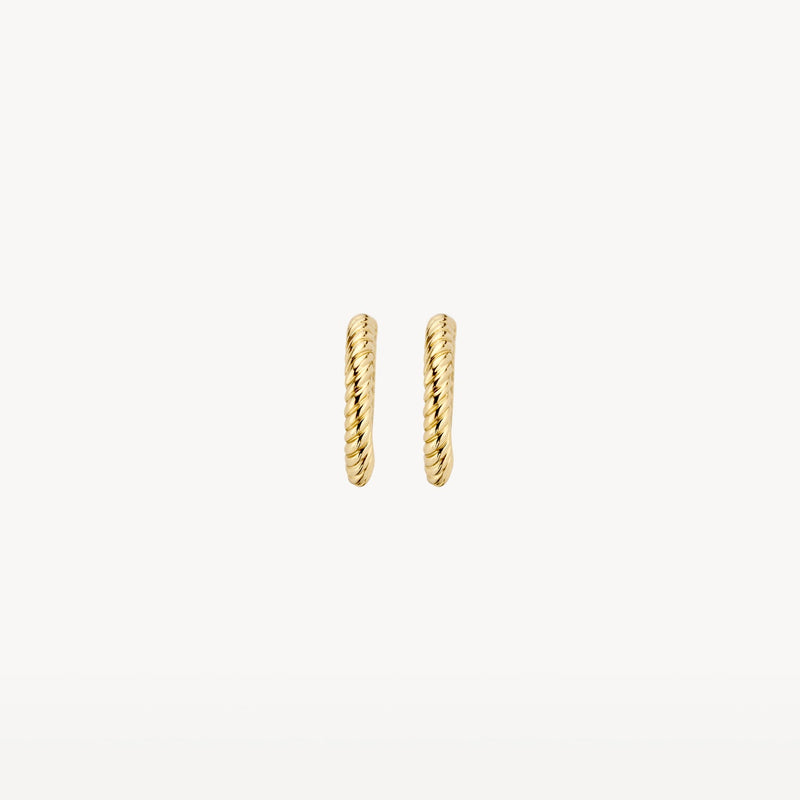Blush Oorringen 14kt Goud 7231YGO