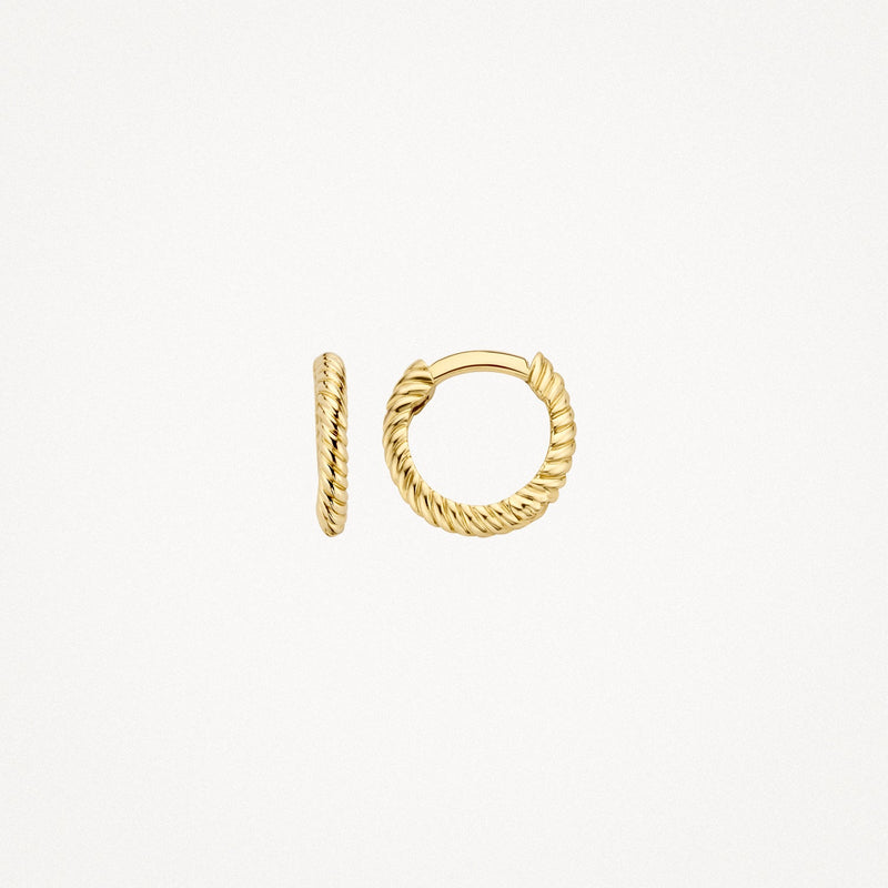 Blush Oorringen 14kt Goud 7231YGO
