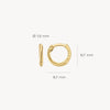 Blush Oorringen 14kt Goud 7231YGO