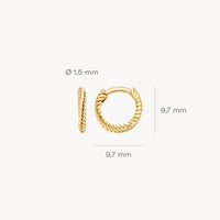 Blush Oorringen 14kt Goud 7231YGO