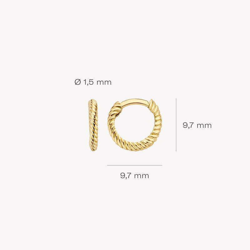 Blush Oorringen 14kt Goud 7231YGO