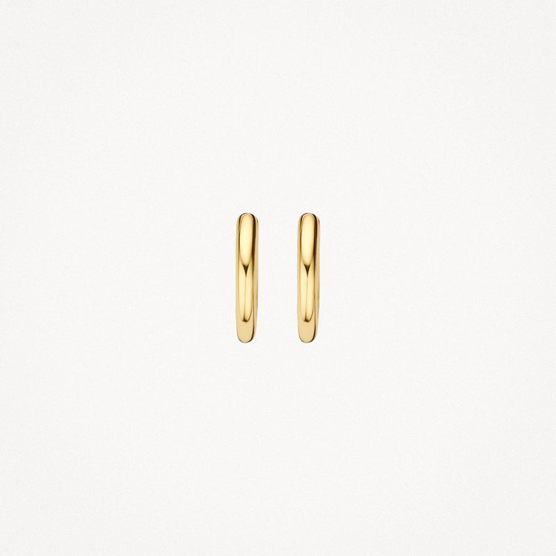 Blush Oorknoppen 14kt Goud 7232YGO