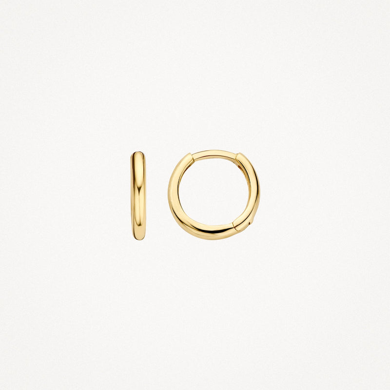 Blush Oorknoppen 14kt Goud 7232YGO