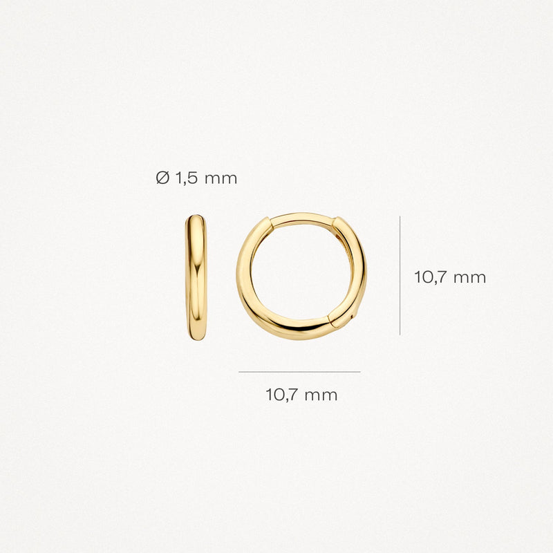 Blush Oorknoppen 14kt Goud 7232YGO