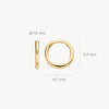 Blush Oorringen 14kt Goud 7233YGO