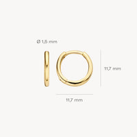 Blush Oorringen 14kt Goud 7233YGO