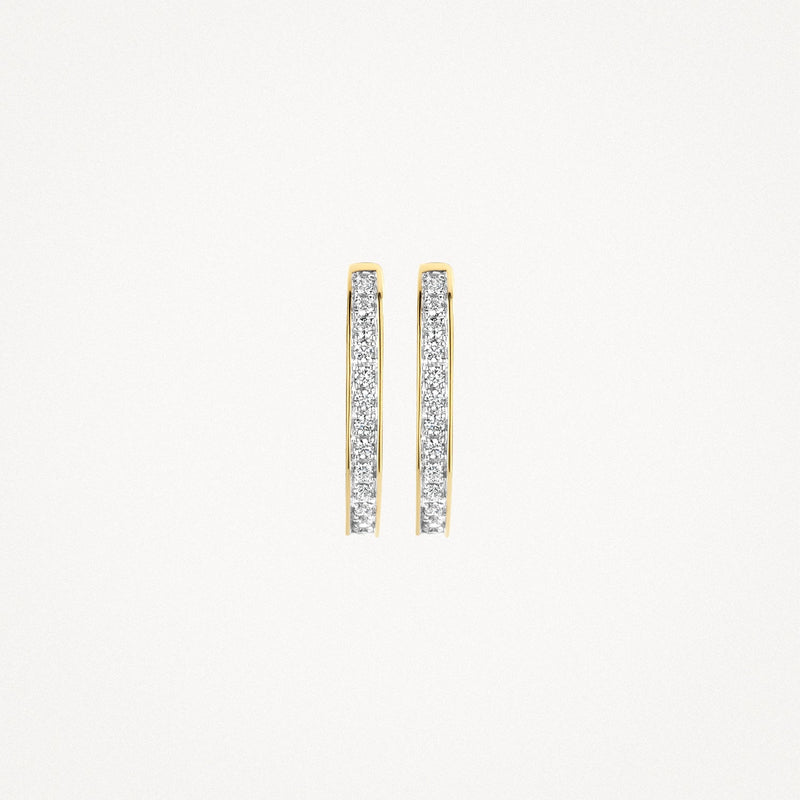 Blush Oorringen 14kt Goud 7234BZI