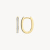 Blush Oorringen 14kt Goud 7234BZI