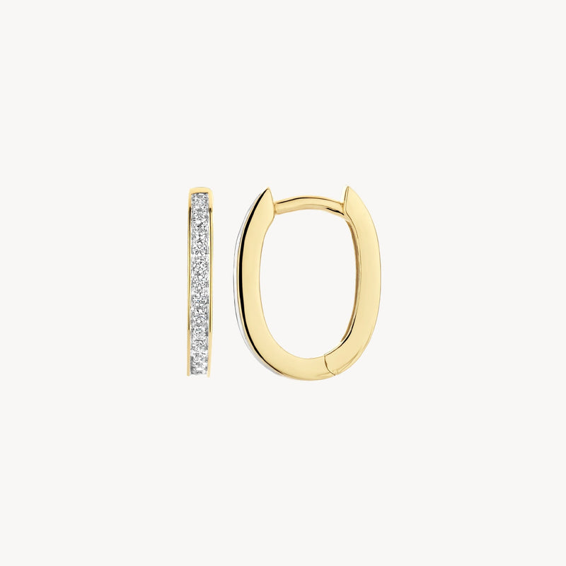 Blush Oorringen 14kt Goud 7234BZI