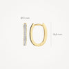 Blush Oorringen 14kt Goud 7234BZI