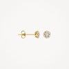 Blush Oorknoppen 14kt Goud 7241YZI