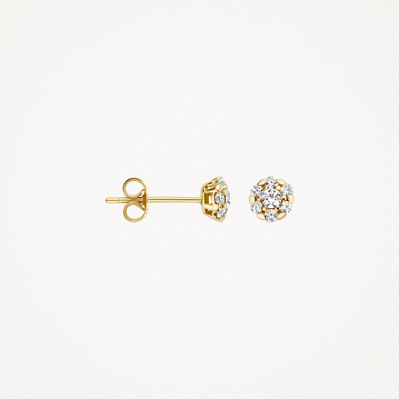 Blush Oorknoppen 14kt Goud 7241YZI