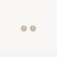 Blush Oorknoppen 14kt Goud 7241YZI