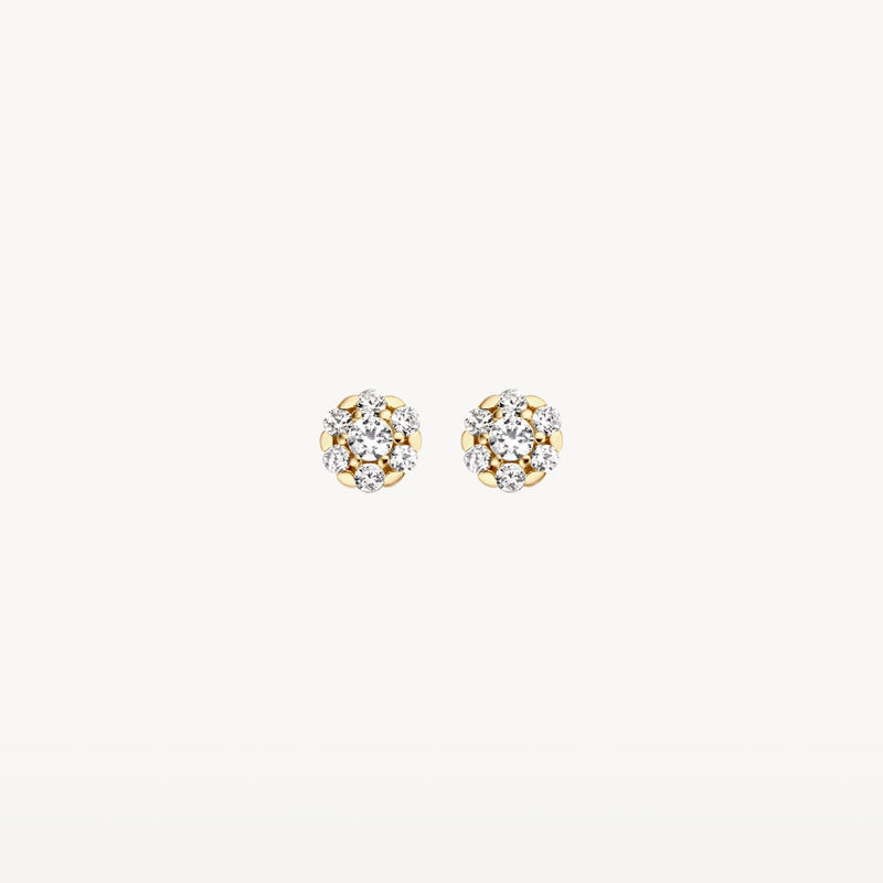 Blush Oorknoppen 14kt Goud 7241YZI