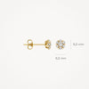 Blush Oorknoppen 14kt Goud 7241YZI