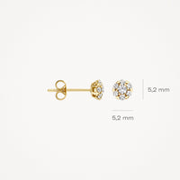 Blush Oorknoppen 14kt Goud 7241YZI