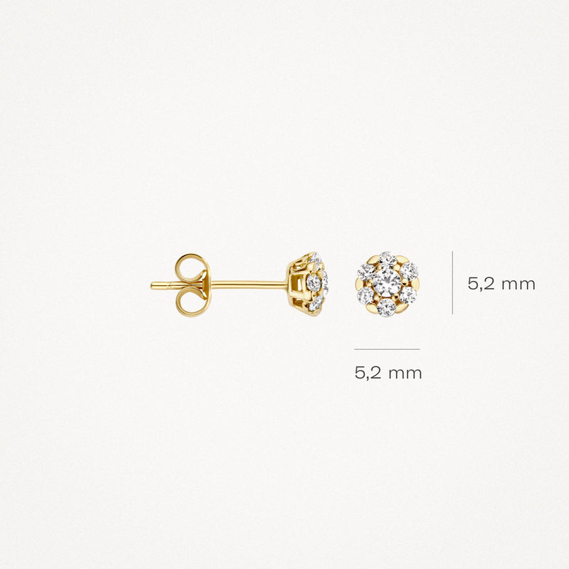 Blush Oorknoppen 14kt Goud 7241YZI
