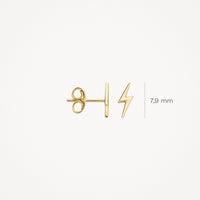 Blush Oorknoppen 14kt Goud 7249YGO
