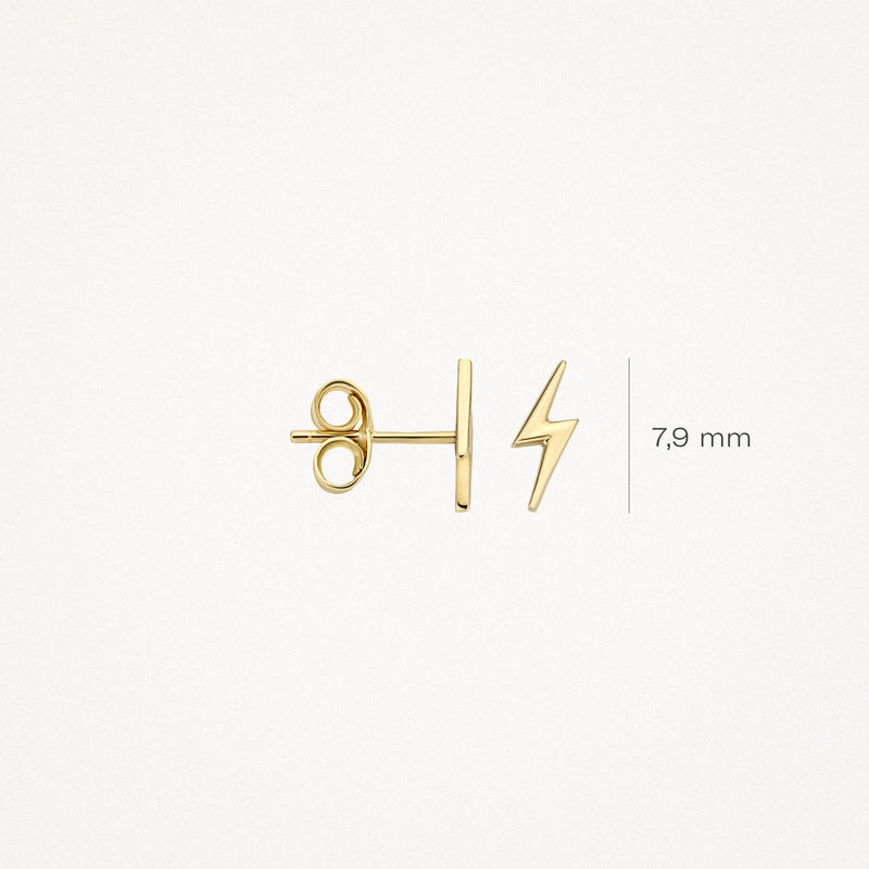 Blush Oorknoppen 14kt Goud 7249YGO