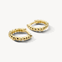 Blush Oorringen 14kt Goud 7263YGO
