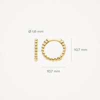 Blush Oorringen 14kt Goud 7263YGO