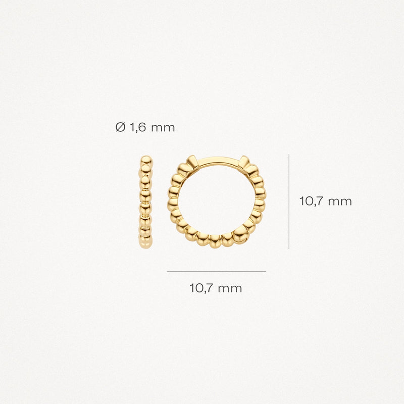 Blush Oorringen 14kt Goud 7263YGO