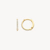 Blush Oorringen 14kt Goud 7269YZI