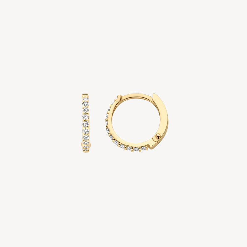 Blush Oorringen 14kt Goud 7269YZI
