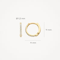 Blush Oorringen 14kt Goud 7269YZI