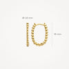 Blush Oorringen 14kt Goud 7272YGO