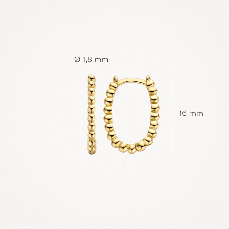 Blush Oorringen 14kt Goud 7272YGO