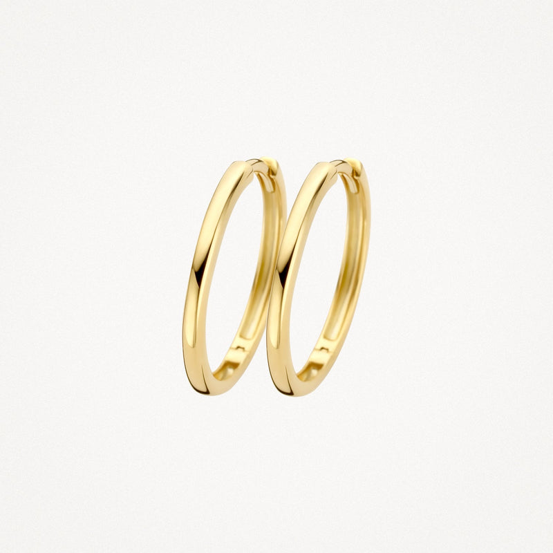 Blush Oorringen 14kt Goud 7274YGO