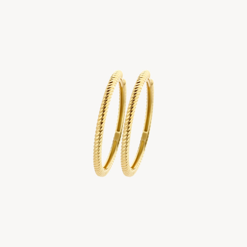 Blush Oorringen 14kt Goud 7287YGO