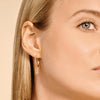 Blush Oorringen 14kt Goud 7287YGO