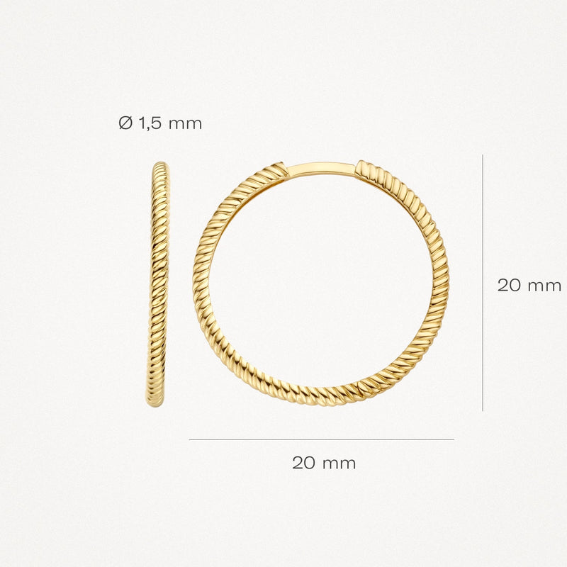 Blush Oorringen 14kt Goud 7287YGO