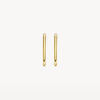 Blush Oorringen 14kt Goud 7295YGO