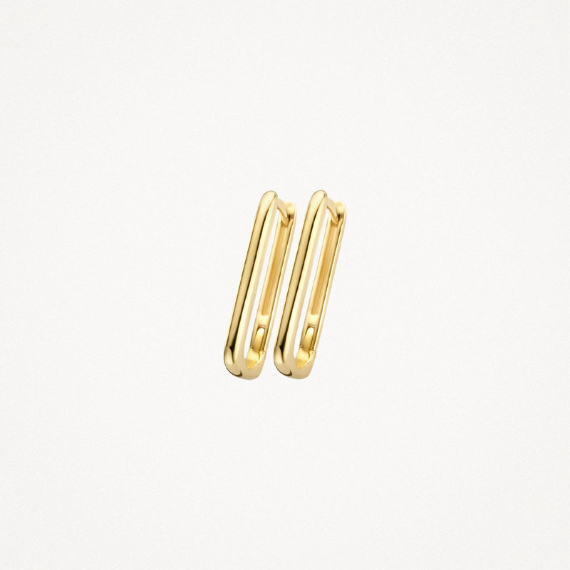 Blush Oorringen 14kt Goud 7295YGO