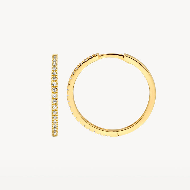 Blush Oorringen 14kt Goud 7306YZI